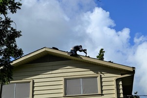 Why does roofing repair need immediate attention?